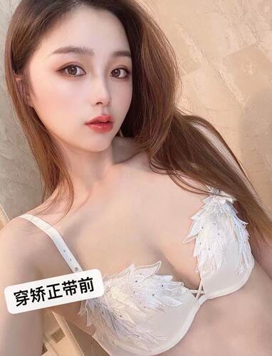 Micisty密汐皙迪胸托聚拢上托胸部防下垂矫正背带内衣收副乳束胸 - 图0