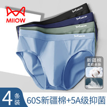 Cat Man Pants Pure Cotton Boy Short Pants Underpants Breathable Summer graphene Graphene Antibacterial Crotch Triangle Mens Pants Head Summer