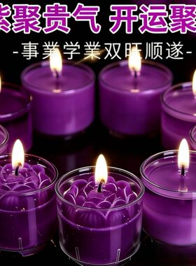 2026新款紫色油灯九紫离火离蜡烛招财长明灯无烟紫气东来家用供灯