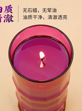 自在园九紫开运灯九紫离火酥油灯3天玻璃斗烛家用无烟祈愿长明灯