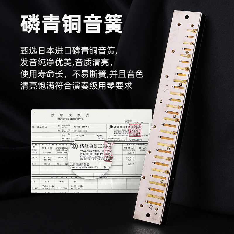 天鹅正品24孔c调复音初学者口琴 音域乐器专营口琴