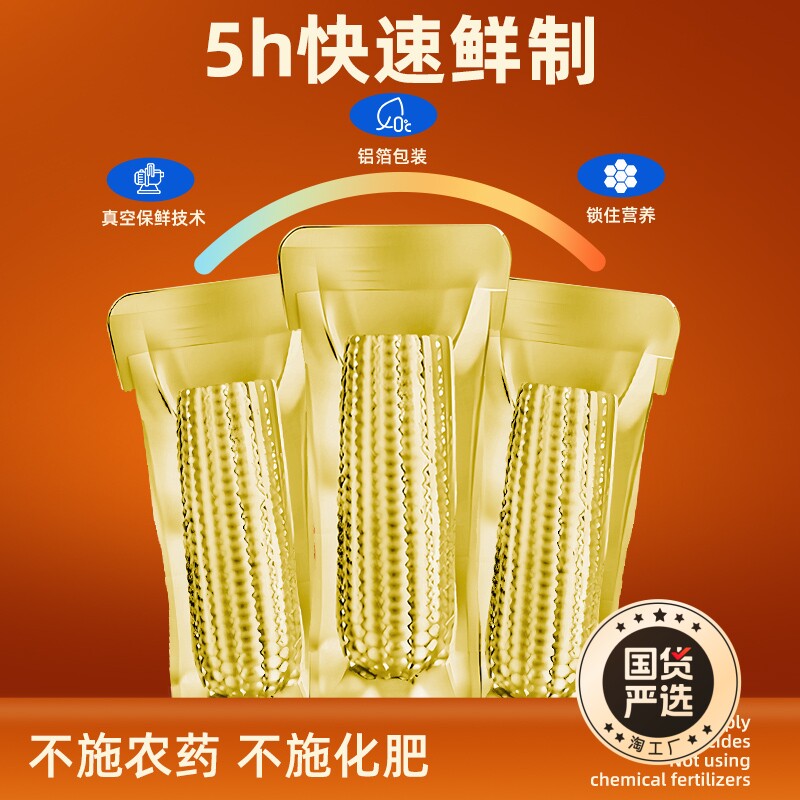 邹有才年货2024新货东北黄糯玉米棒10支黄金铝箔装黄糯节日礼盒