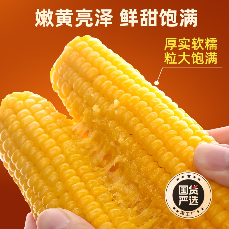 邹有才年货2024新货东北黄糯玉米棒10支黄金铝箔装黄糯节日礼盒