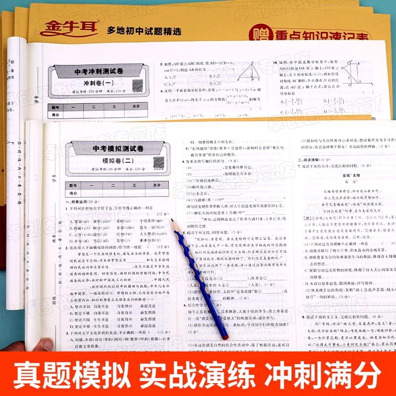 2025中考真题卷必刷题语文数学英语物理化学政治历史地理生物试卷中考真题卷全套九年级初三初中中考总复习资料复习模拟卷卷子C - 图2