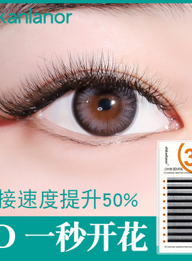 三叶草嫁接睫毛Elskanlanor
