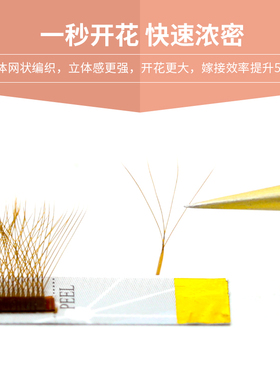 elskanlano焦糖色四叶草嫁接睫毛