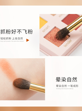 cici化妆高端腮红眼影
