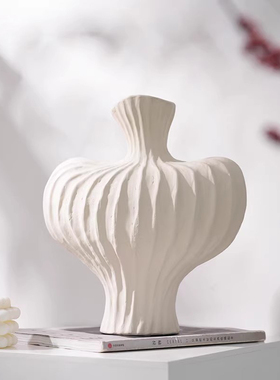 轻奢高级感花瓶摆件客厅插花花器