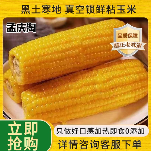 （有试吃）东北新鲜头糯九茬大棒粘糯玉米粘苞米一箱10支6斤左右 - 图3