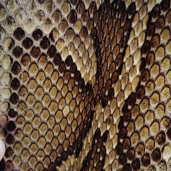 Erhu skin, python skin, Gaohu, Sihu musical instrument accessories, python head, snake skin, factory direct sales piano skin