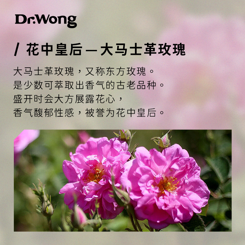 dr.wong大马士革玫瑰精华水爽肤水 drwong纯露/花水