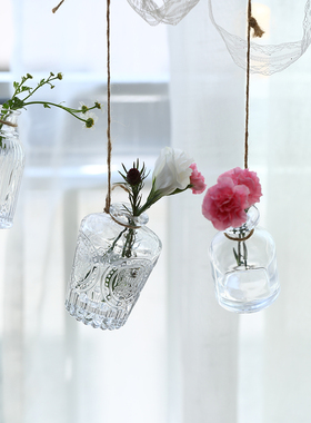 绿植水培植物玻璃瓶森系户外装饰