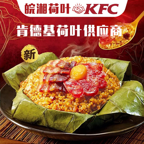 扇形天然干荷叶饭包饭蒸饭荷叶鸡叫花鸡糯米鸡餐饮直供32*22*8 - 图2