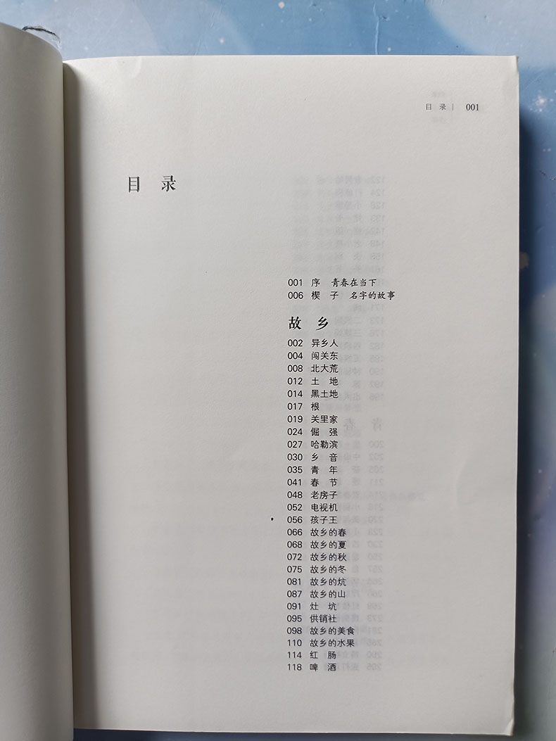 正版书籍归来仍少年 青春 都市 言情小说书籍 青春不散场 归来仍少年 就得保持少年的激情 活出青春的状态近现代文学书籍 文学小说