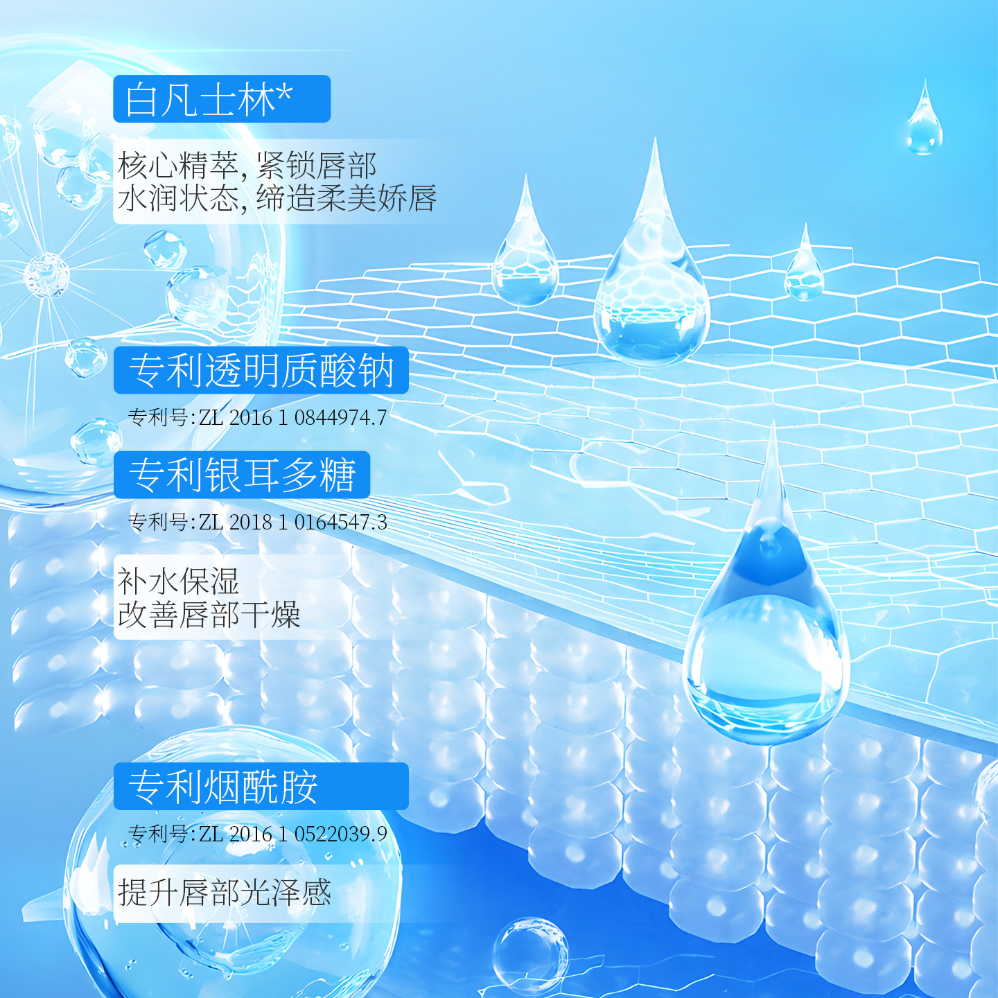 【WHSA】白凡士林倍润修护润唇膏三件套