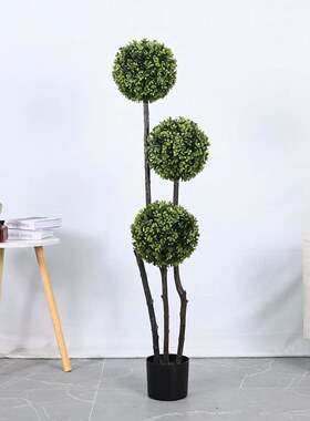 110v220v热门仿真绿植室内装饰盆栽橱窗摆件女贞米兰草球球形植物