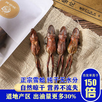 Multi-delivery 20g snow clam dry northeast long white mountain forest frog dry snow clam snow ha dry goods whole flagship store fresh