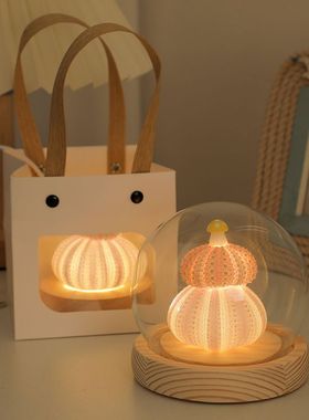 DIY小夜灯ins风海胆蘑菇摆件女孩子生日礼物送女生闺蜜卧室装饰品