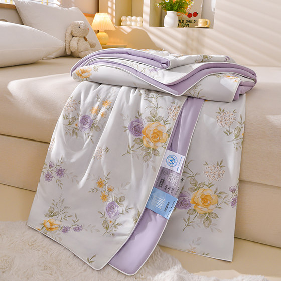 Cool-feeling printed summer cooling quilt air-conditioned quilt double-sided ice-feeling summer quilt double student air-conditioned quilt machine washable quilt core