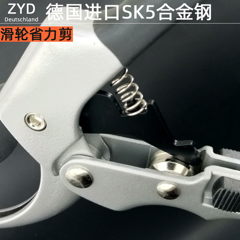 树枝剪花枝剪SK5不锈钢德国进口园艺剪子省力桑剪果树剪修枝剪刀,淘宝优惠券,粉丝福利购,淘宝优惠卷
