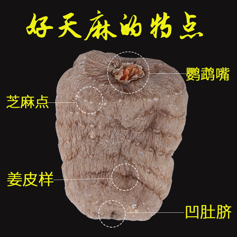 云南昭通500g克新鲜种植粉天麻 麻小农天麻