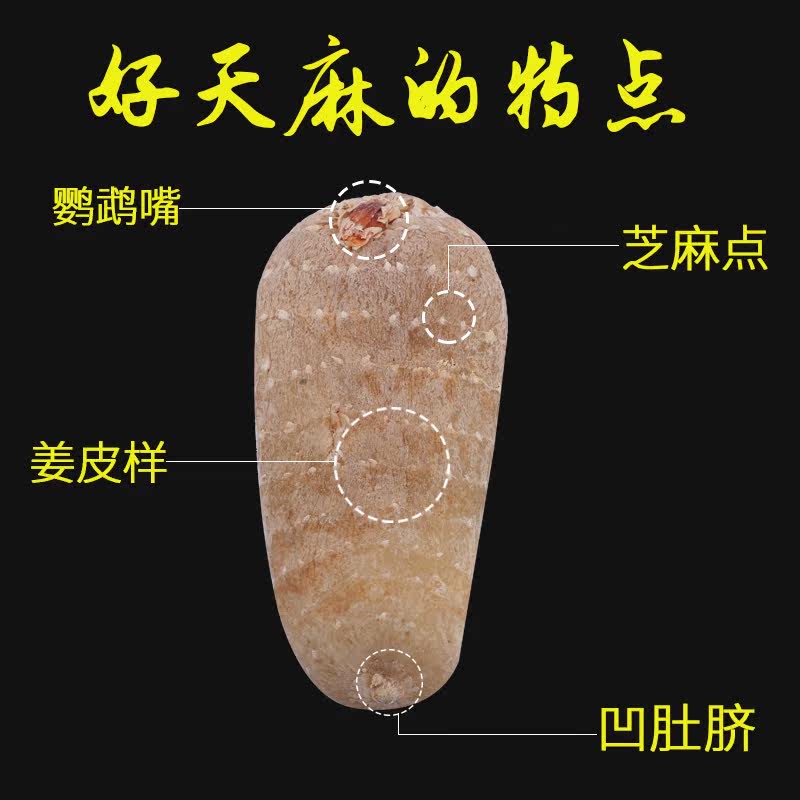 云南昭通一级正品500g野生乌天麻 麻小农天麻