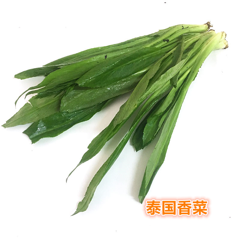 新鲜带根大香菜 泰国香菜 刺芫茜  刺芹芫荽 江浙沪皖5件包邮 - 图1