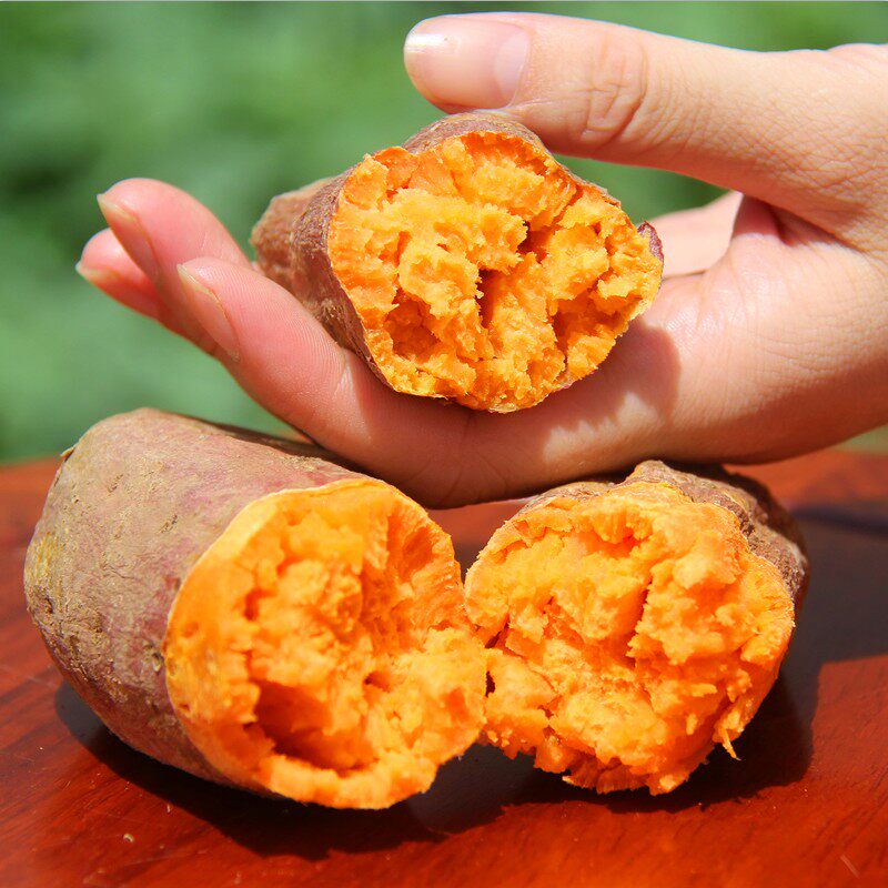 现挖带箱10斤六鳌农家红心新鲜红薯 瑶果林番薯