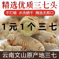 (RMBone 1 37) Yunnan Wenshan 37 Head selected Special grade Spring 37 fields Seven Non-wild Milled Powder
