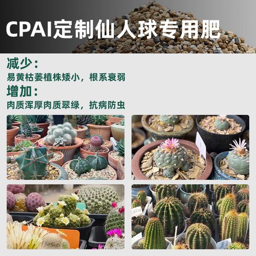 仙人球专用营养颗粒土种植仙人掌盆栽土壤仙人柱土进口赤玉土植料 - 图2