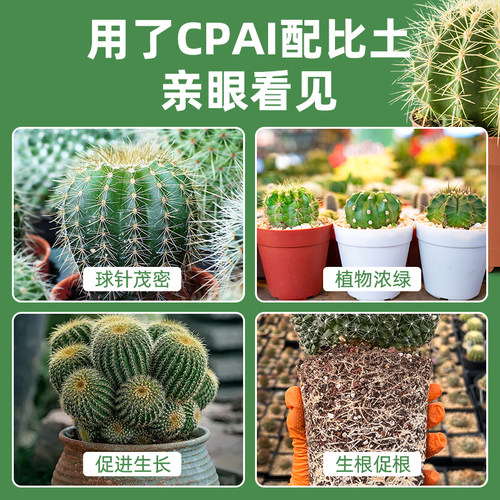 仙人球专用营养颗粒土种植仙人掌盆栽土壤仙人柱土进口赤玉土植料 - 图3