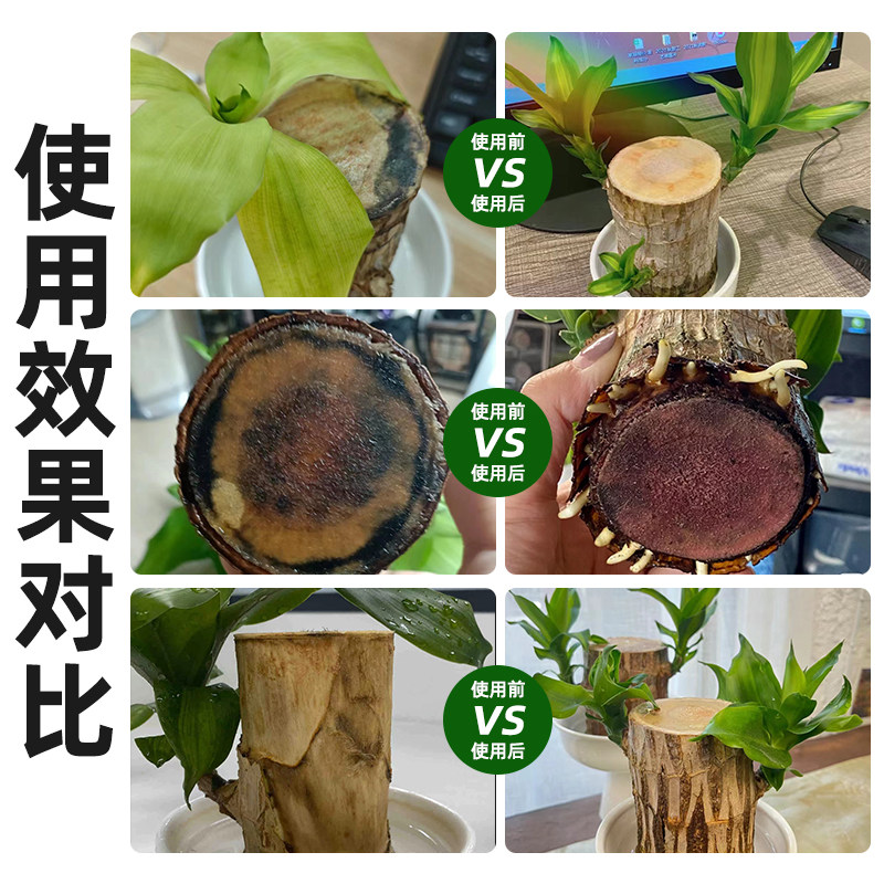 水培巴西木专用营养液免稀释开花专用肥室内盆栽植物营养液通用型,淘宝优惠券,粉丝福利购,淘宝优惠卷