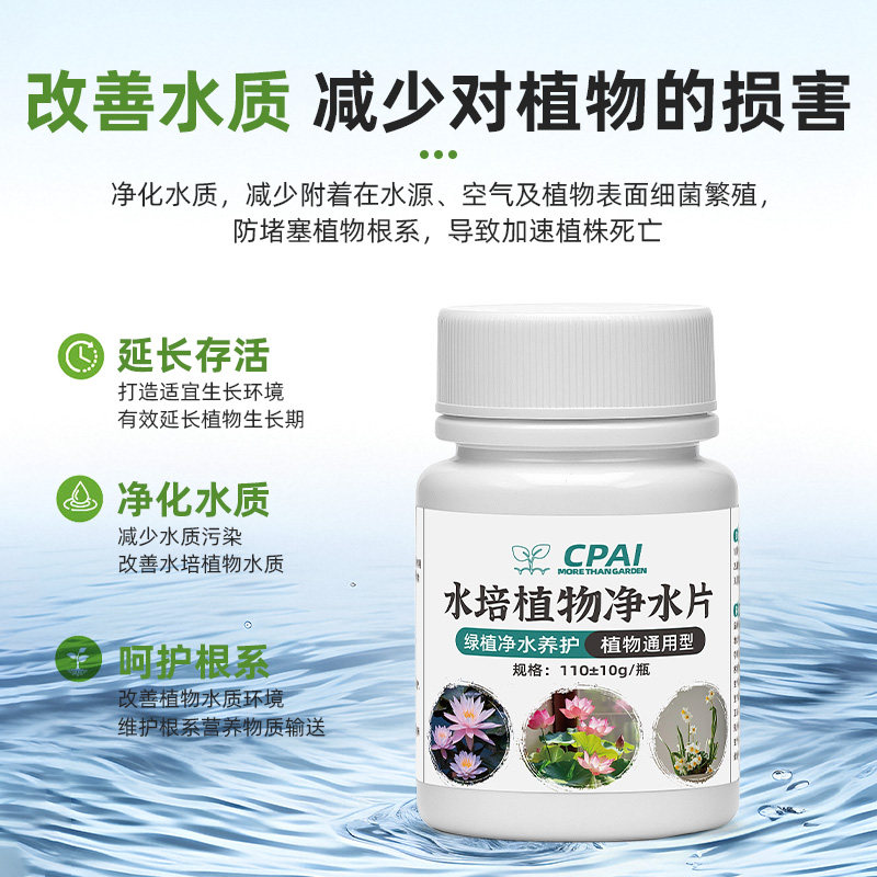 水培植物净水片碗莲睡莲除臭通用型剂净化水质催芽开花水培不臭水,淘宝优惠券,粉丝福利购,淘宝优惠卷