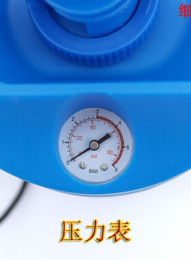 5L包邮验厂洗眼器 紧急双口洗眼器*便携式洗眼器 带压力表