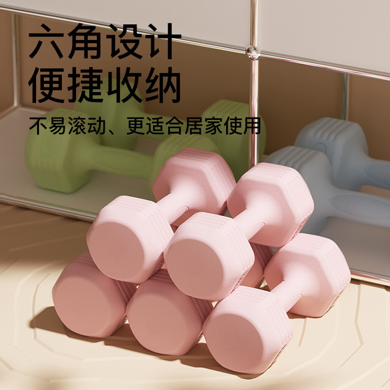 Dumbbell ladies fitness home equipment