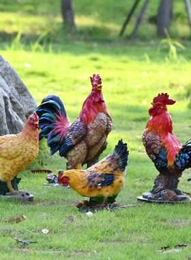 户外仿真公鸡母鸡雕塑玻璃钢动物庭院花园农场饭店装饰室外大摆件