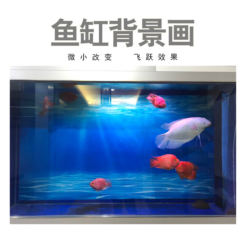 鱼缸背景纸画高清图3d立体壁纸水族箱贴纸壁画造景装饰