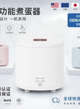 110v220v跨境多功能小型电热煮蛋器自动断电家用宿舍早餐煮蛋蒸蛋