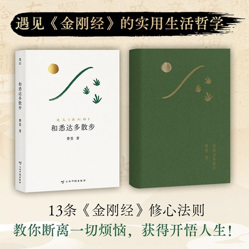 正版 和悉达多散步：遇见金刚经 费勇著 13条贴近日常的修心法则 将fo教智慧转化为生活实践 实现内心的平静与自在 悉达多姜乙正版 - 图0