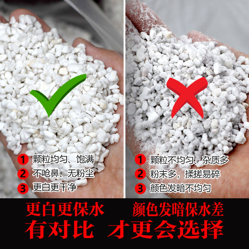 珍珠岩 无尘包30L园艺育苗扦插配营养土通用颗粒 兰花硬质大粒 - 图0