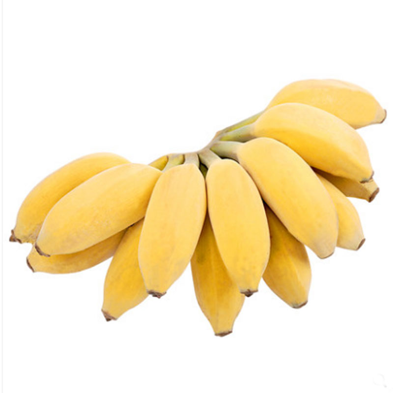 香蕉 5新鲜小米蕉带箱10斤芭蕉海南帝王蕉banana水果5苹果粉蕉3-图3