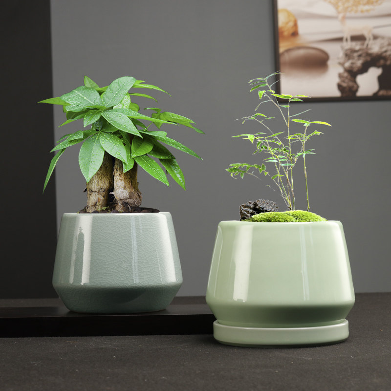简约文竹花盆哥窑陶瓷小号蝴蝶兰专用多肉绿植盆载桌面微观造景盆,淘宝优惠券,粉丝福利购,淘宝优惠卷