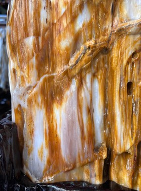 树化玉硅化木摆件冰种木化石128829客厅木化玉缅甸树化石客厅奇石