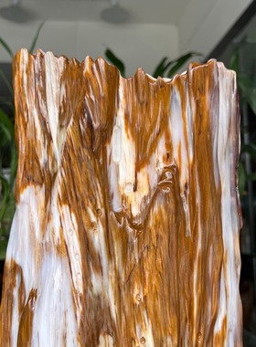 树化玉硅化木摆件冰种木化石400127客厅木化玉缅甸树化石客厅奇石