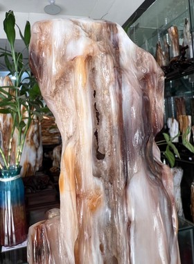 树化玉硅化木摆件冰种木化石400138客厅木化玉缅甸树化石客厅奇石