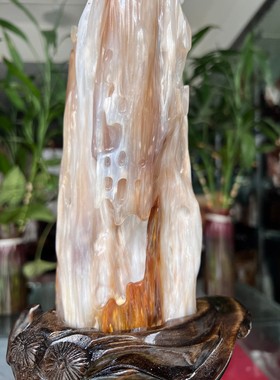 树化玉硅化木摆件冰种木化石400124客厅木化玉缅甸树化石客厅奇石