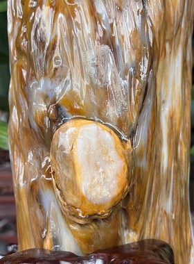 树化玉硅化木摆件冰种木化石128834客厅木化玉缅甸树化石客厅奇石