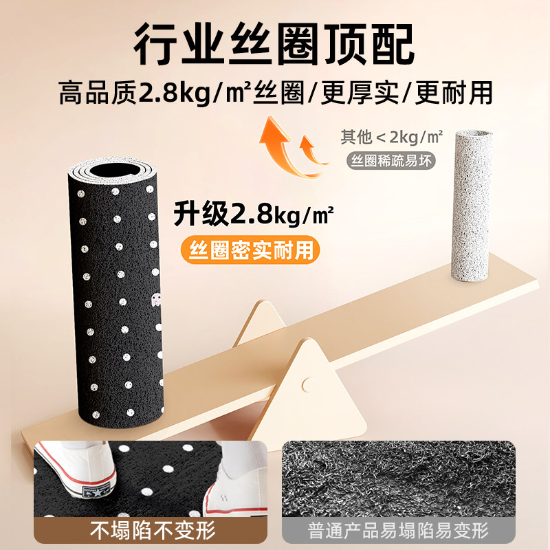 现代简约丝圈入户门地垫进门蹭土耐磨耐脏脚垫可裁剪除尘免洗地毯,淘宝优惠券,粉丝福利购,淘宝优惠卷