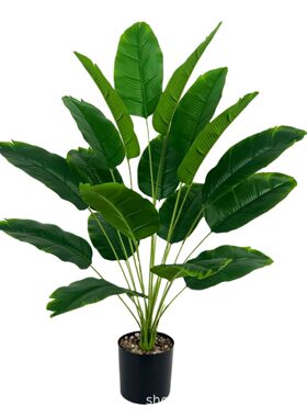 跨境仿真绿植 散尾葵假花北欧仿生植物造景家居盆栽客厅装饰摆件