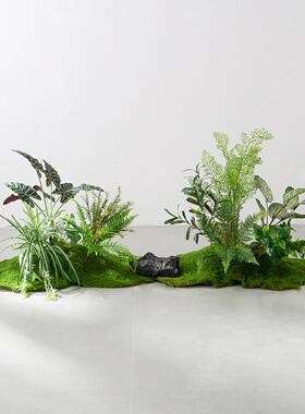 彷真绿植造景室内高端轻奢彷生植物微景观摆件假苔藓装饰盆景布置